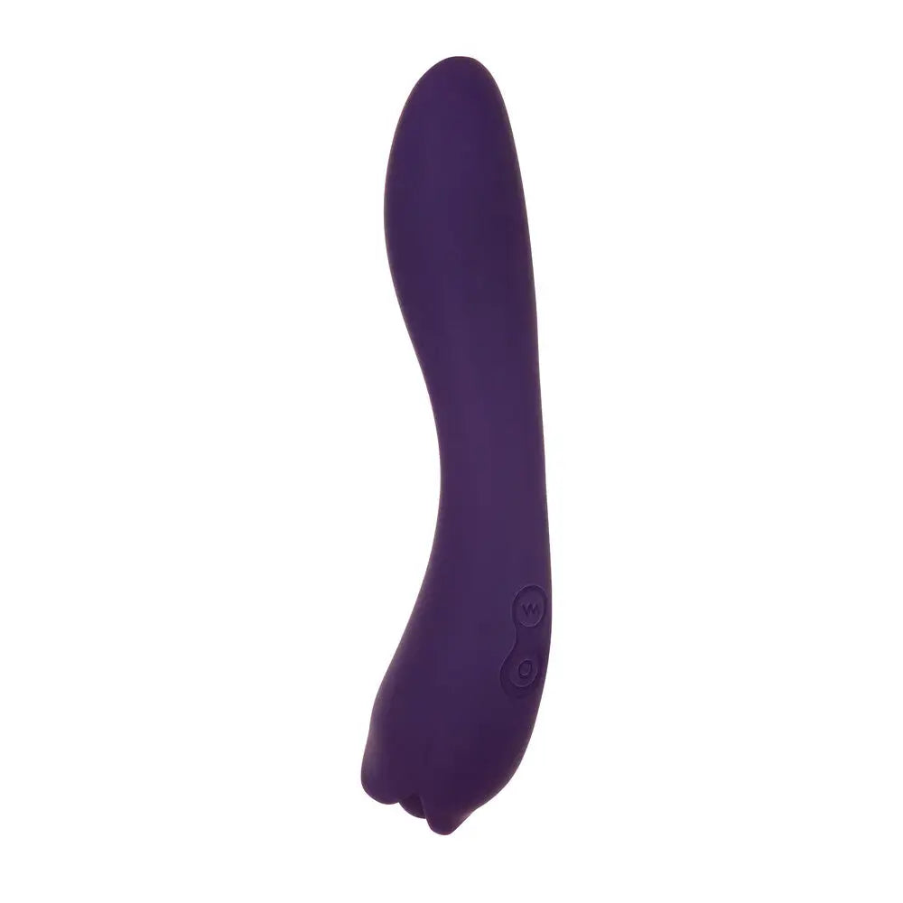 Evolved Silicone Rechargeable Dual End Massager