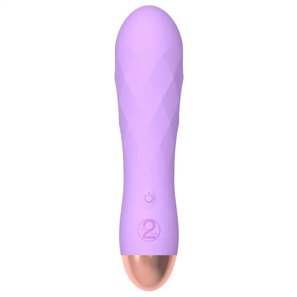 You2toys Silicone Purple Multi-speed Rechargeable Mini Bullet Vibrator